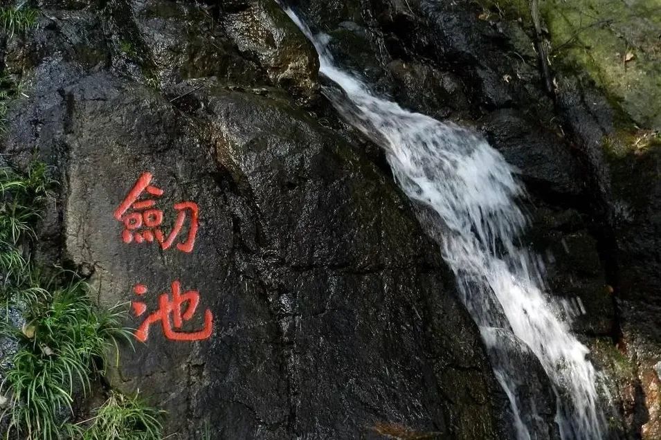 浙西南环游，喜欢龙泉，一座干干净净的山间小城