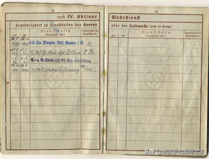 二战时德国军人的肩章,二战德国兵种领章