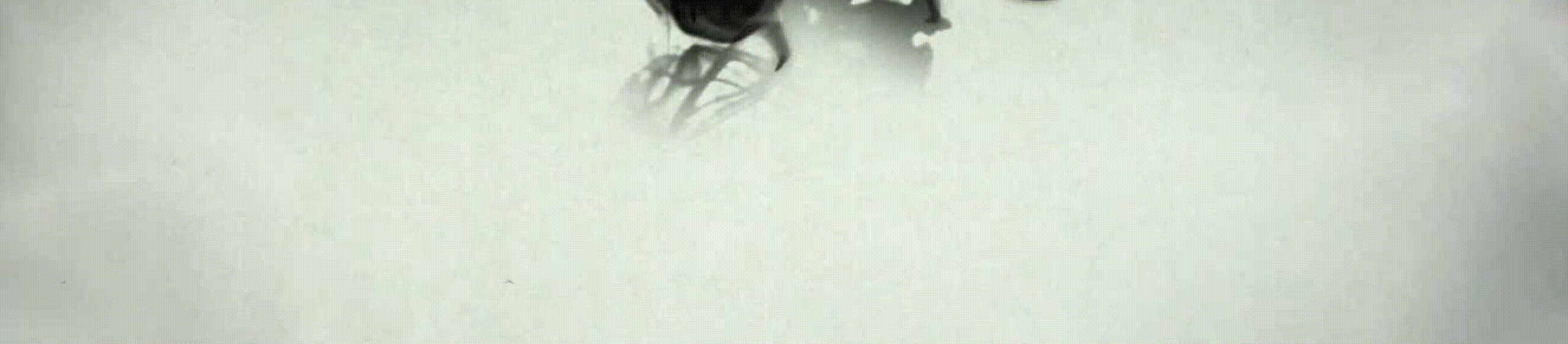 韩干是一位擅长画马的画家吗,韩干为什么能成为一代画马