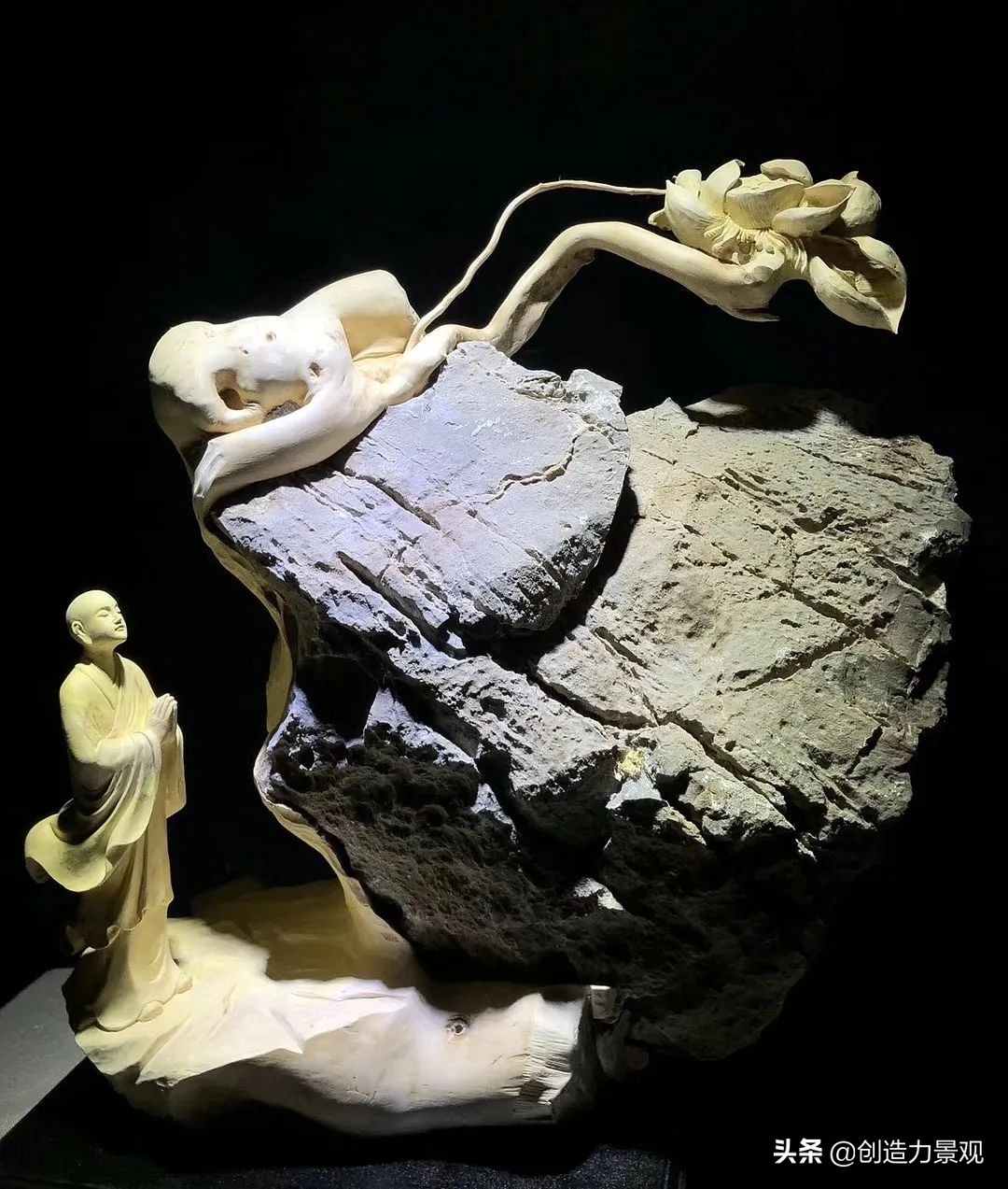 一花一草一世界原创花草,一花一草一世界花草之美