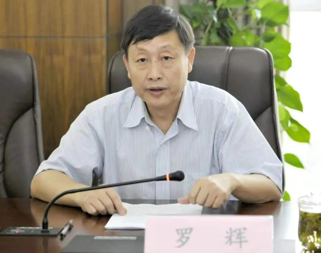 罗辉、李宏庆、李金柱，被查