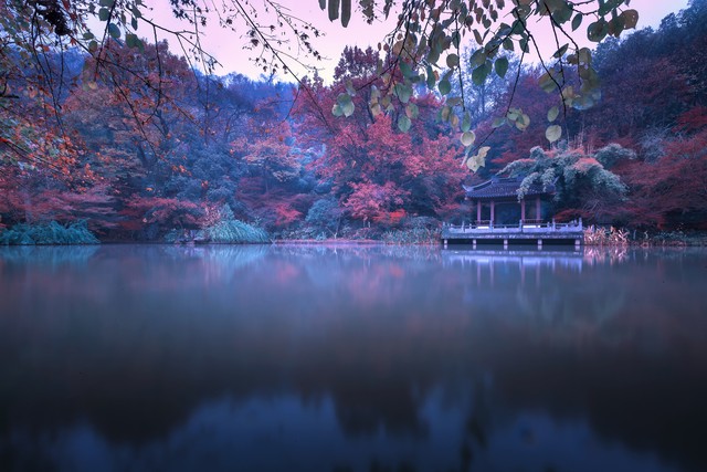 小学生小故事大道理感悟人生哲理,小故事大道理感悟人生哲理文案