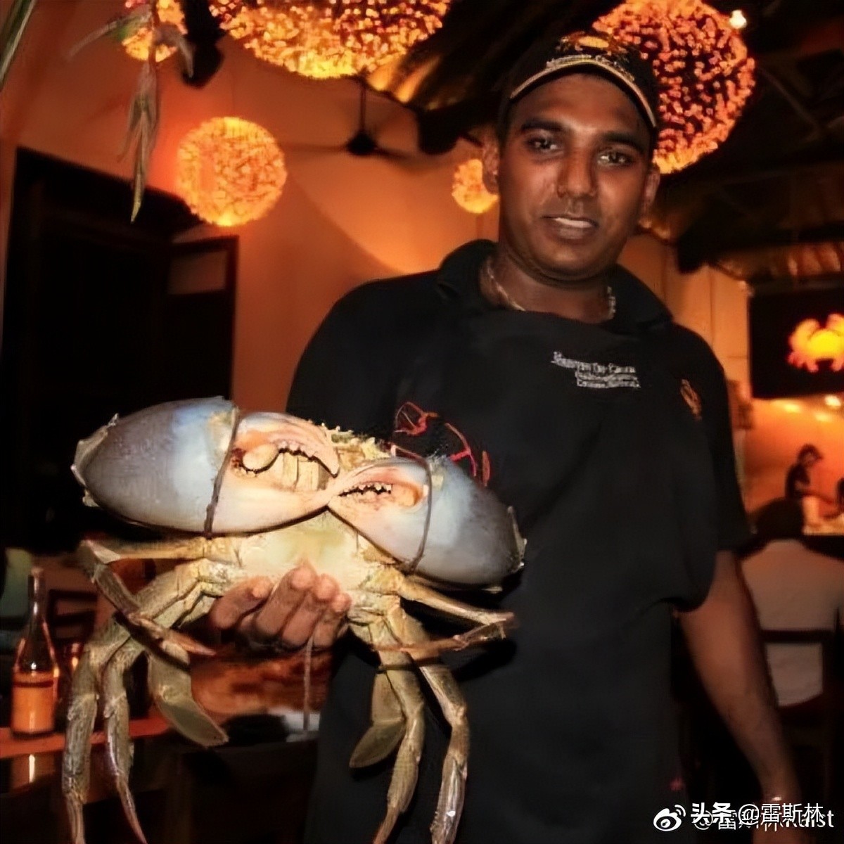 上海高端日餐推荐,上海不用预约的好吃的地方