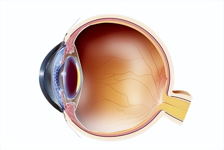 感觉眼前有东西飘过怎么回事,眼前老是有东西在飘动
