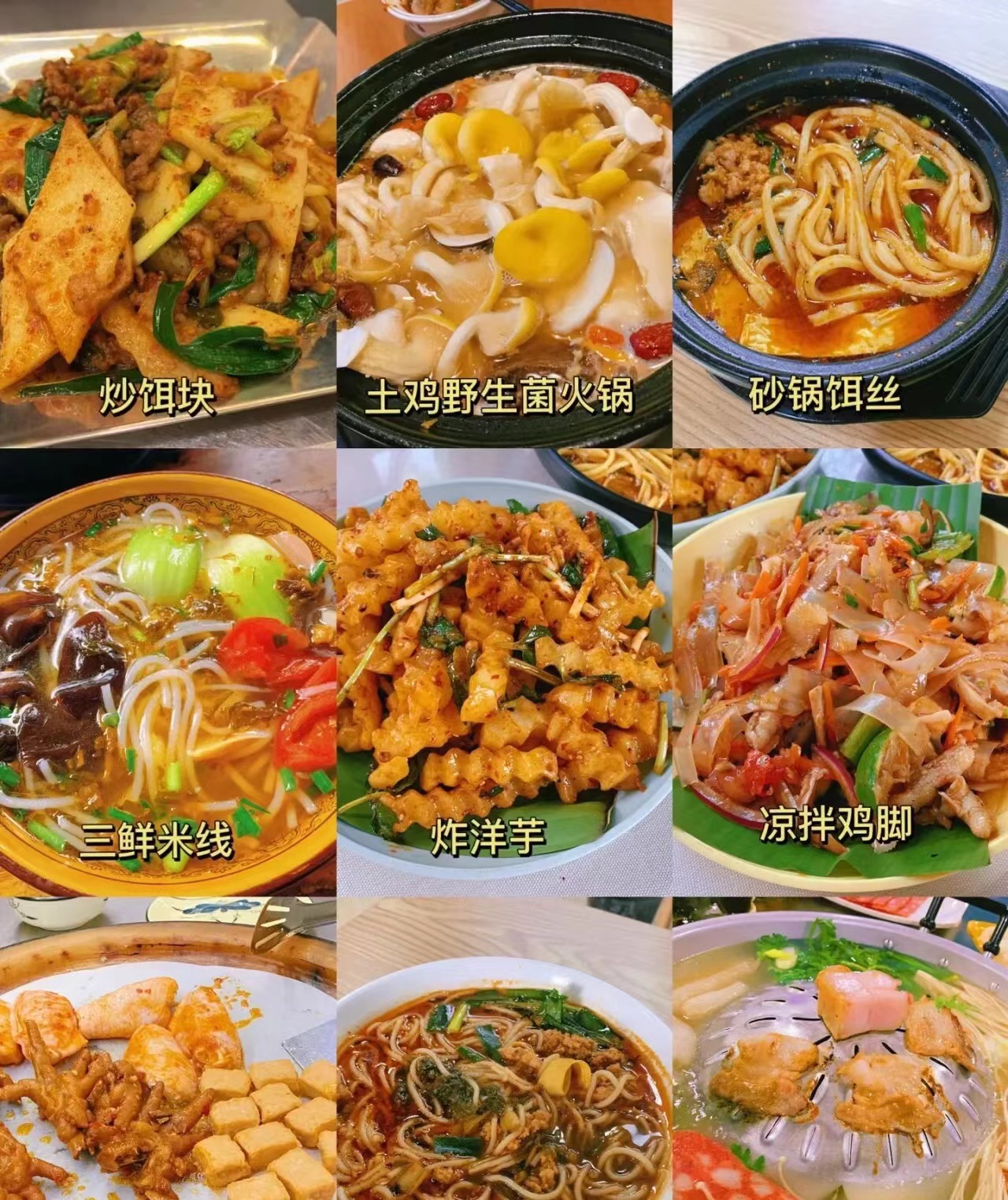 去版纳要注意踩的坑,去版纳怎么避坑