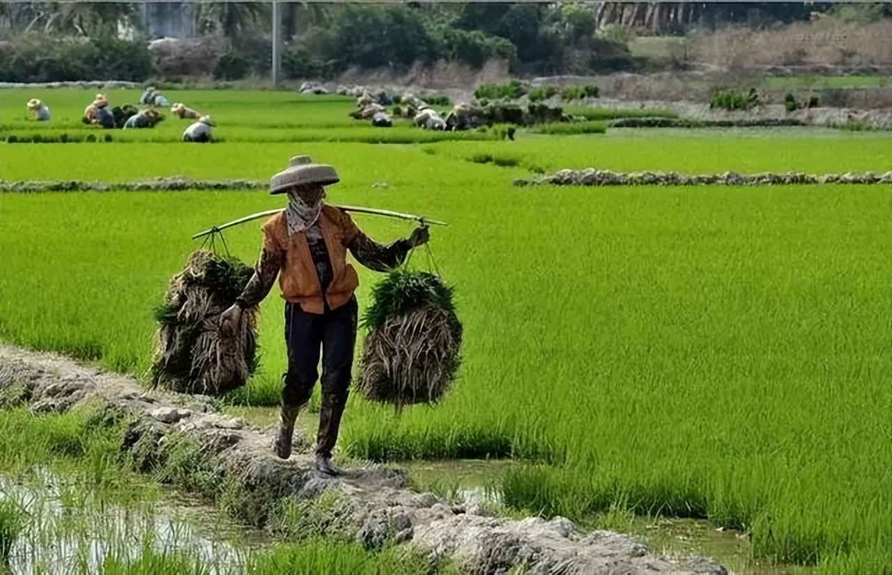 农村赚钱的小生意有哪些,农村一年四季都能挣钱的小生意