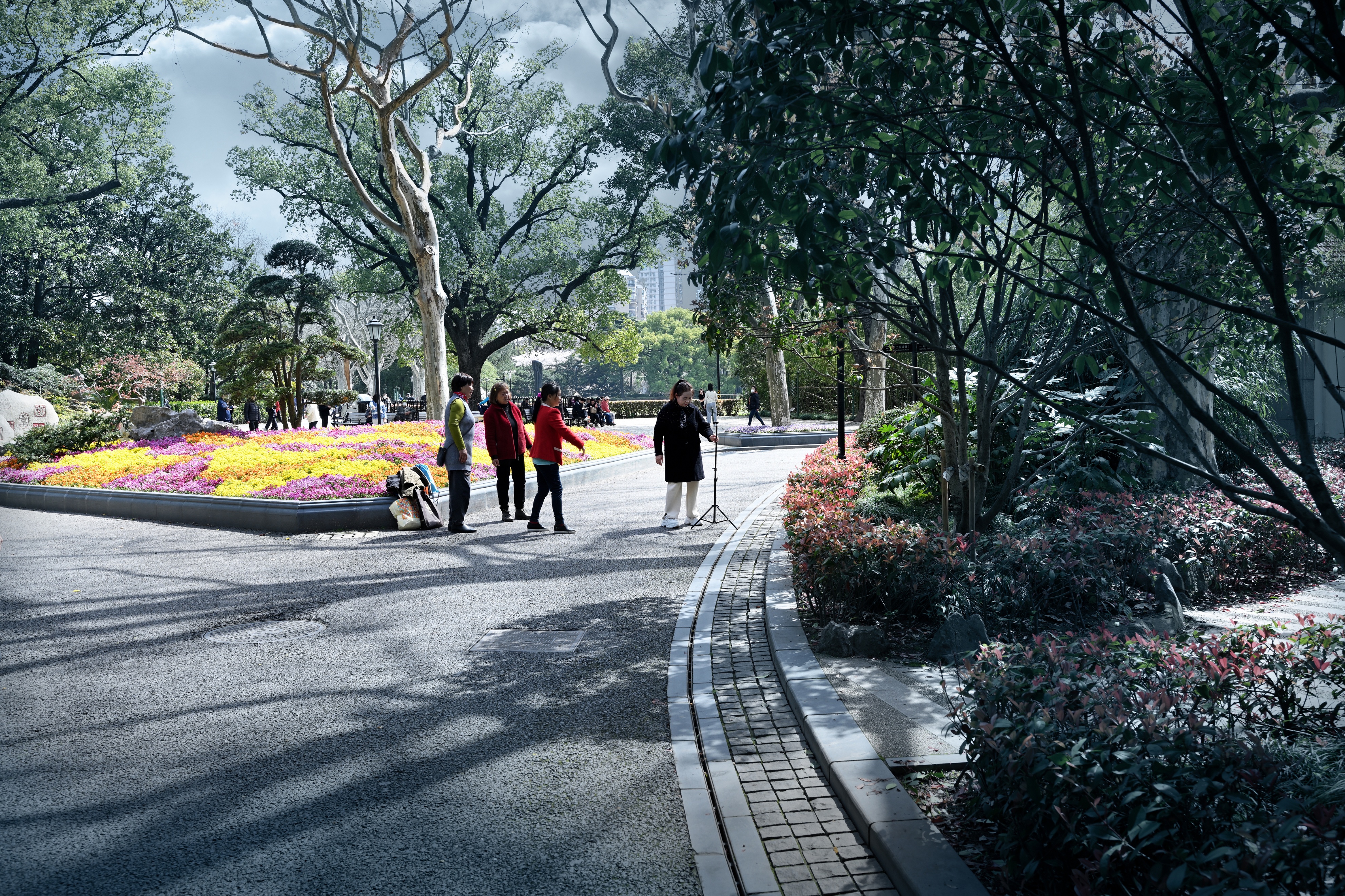 目前的上海中山公园,最新上海中山公园介绍