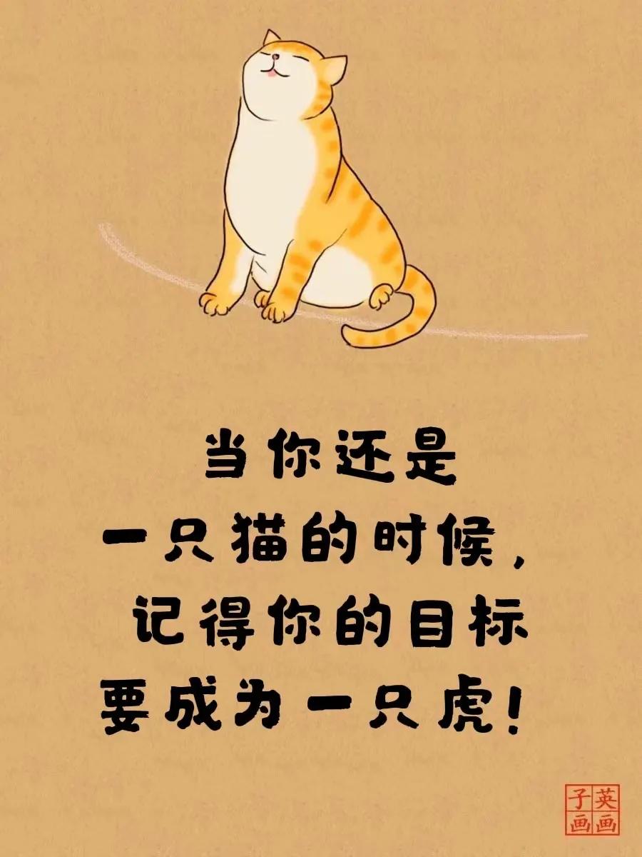 老虎不发威，你当我是病猫（2022虎给你看）