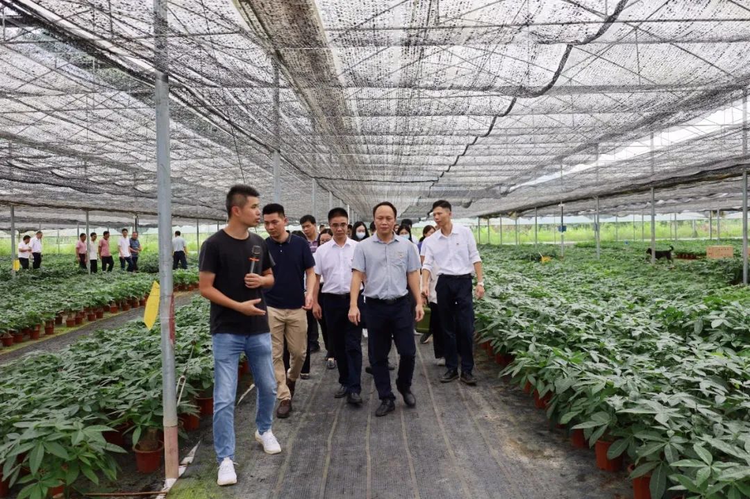 喜迎二十大丨东成镇：坚持*党**建引领走特色产业之路力促高质量发展