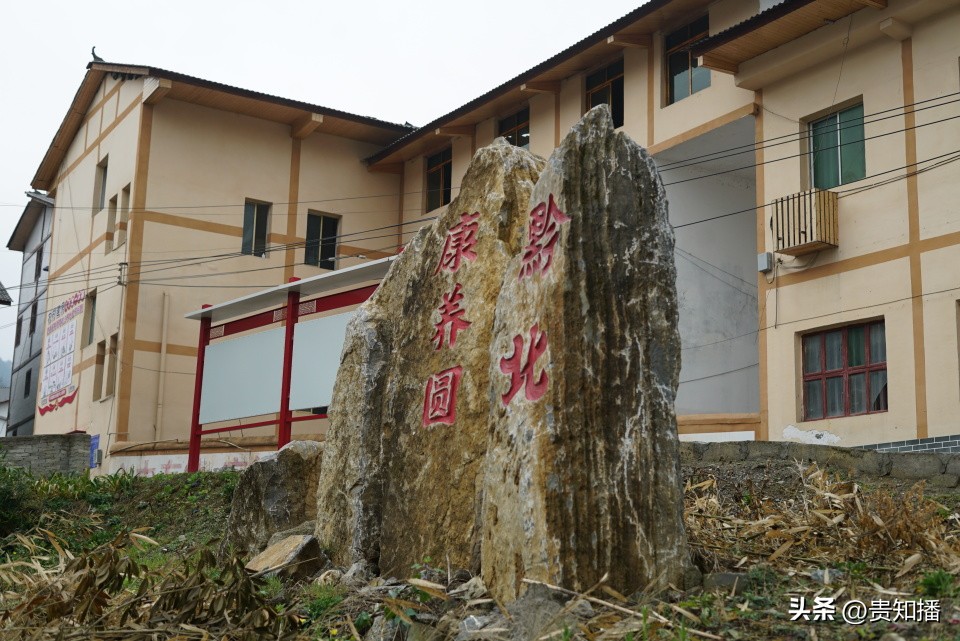 韦丽君的创业故事:改变家乡的力量打造康养小镇