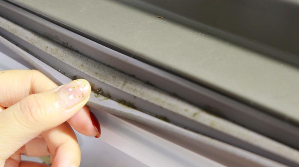 冰箱胶边上的霉斑怎么去除,去除冰箱霉斑的小妙招视频