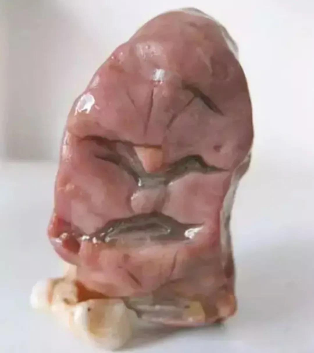 成精的石头蛋,石头成精的过程视频