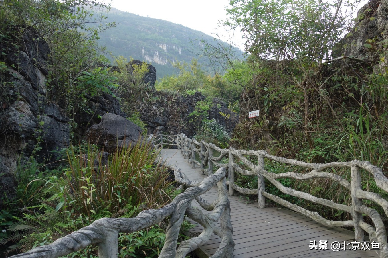 贵州黄果树最美的地方,贵州黄果树旅游攻略自由行