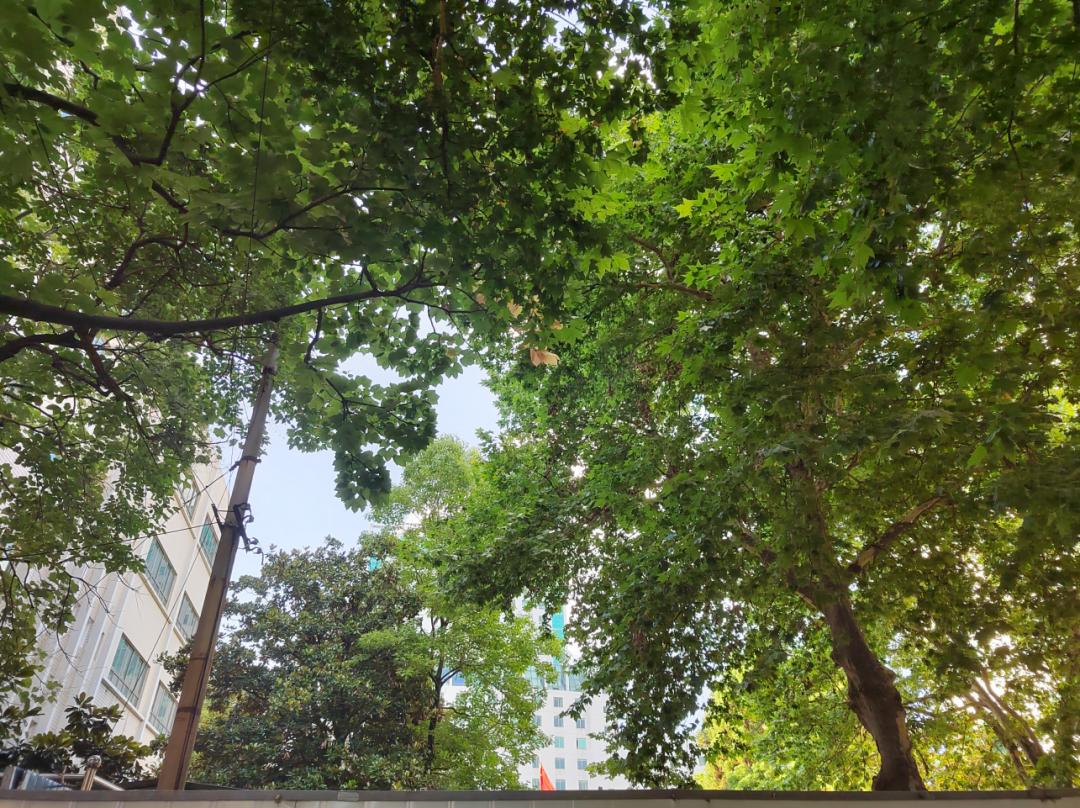 贵州一知名大学新校区真的来了!贵阳贵安这一手,下的什么棋?