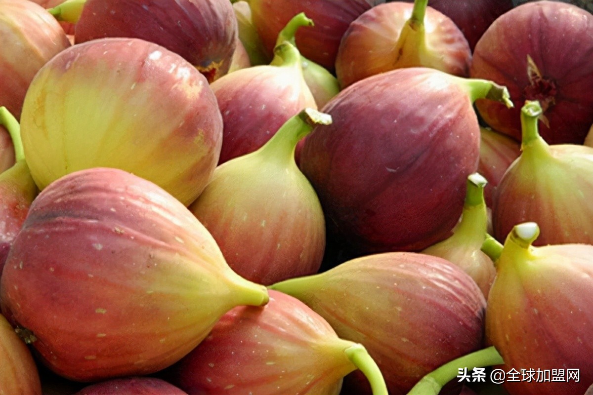 想吃水果亿果联欢迎前来选购