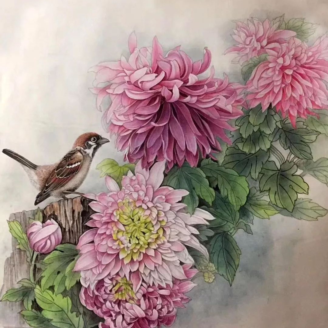 启功荷花作品欣赏,启功《荷上花帖》