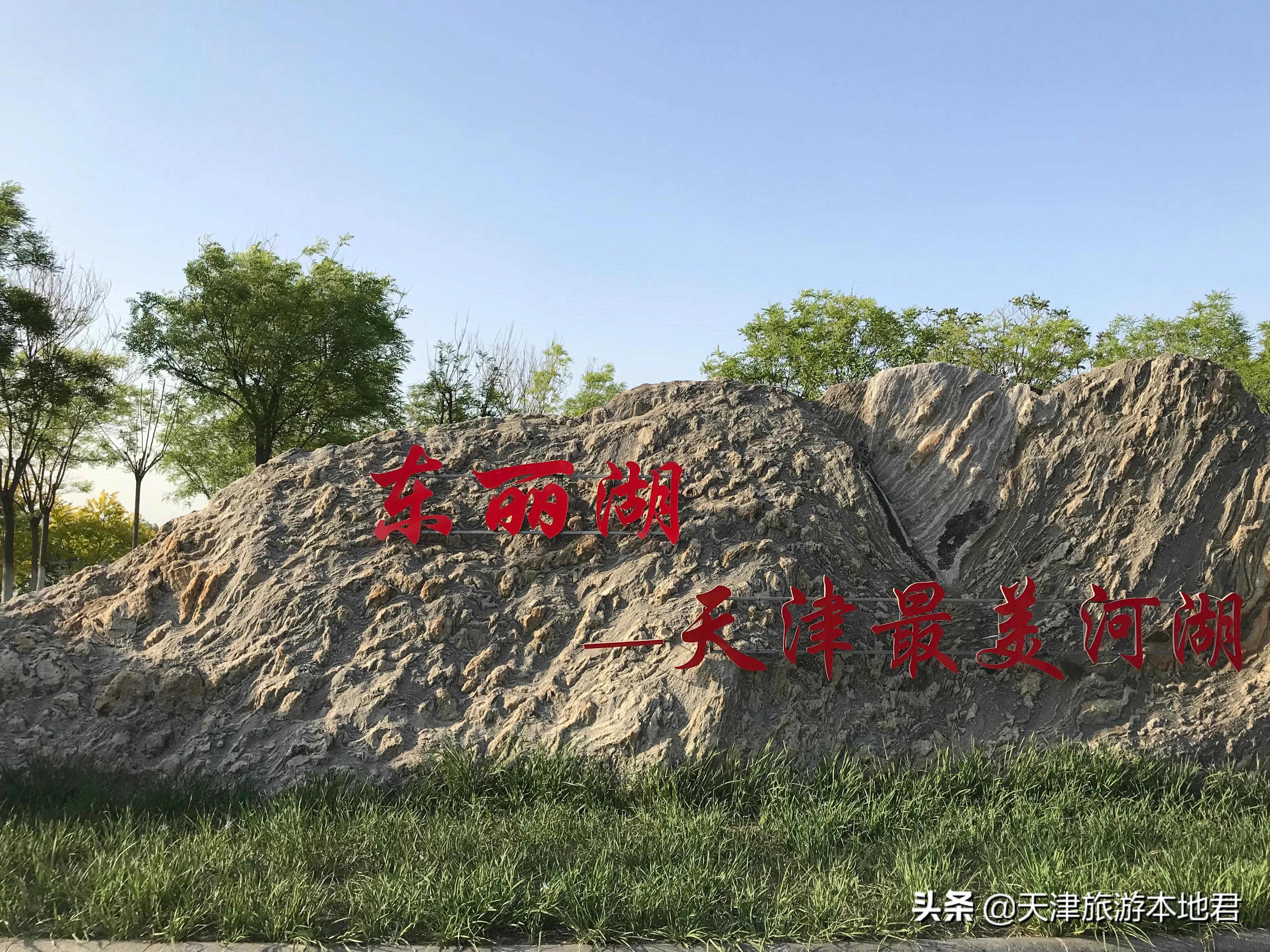 天津东丽湖公园荷花节什么时候开,东丽郊野公园好还是东丽湖公园好