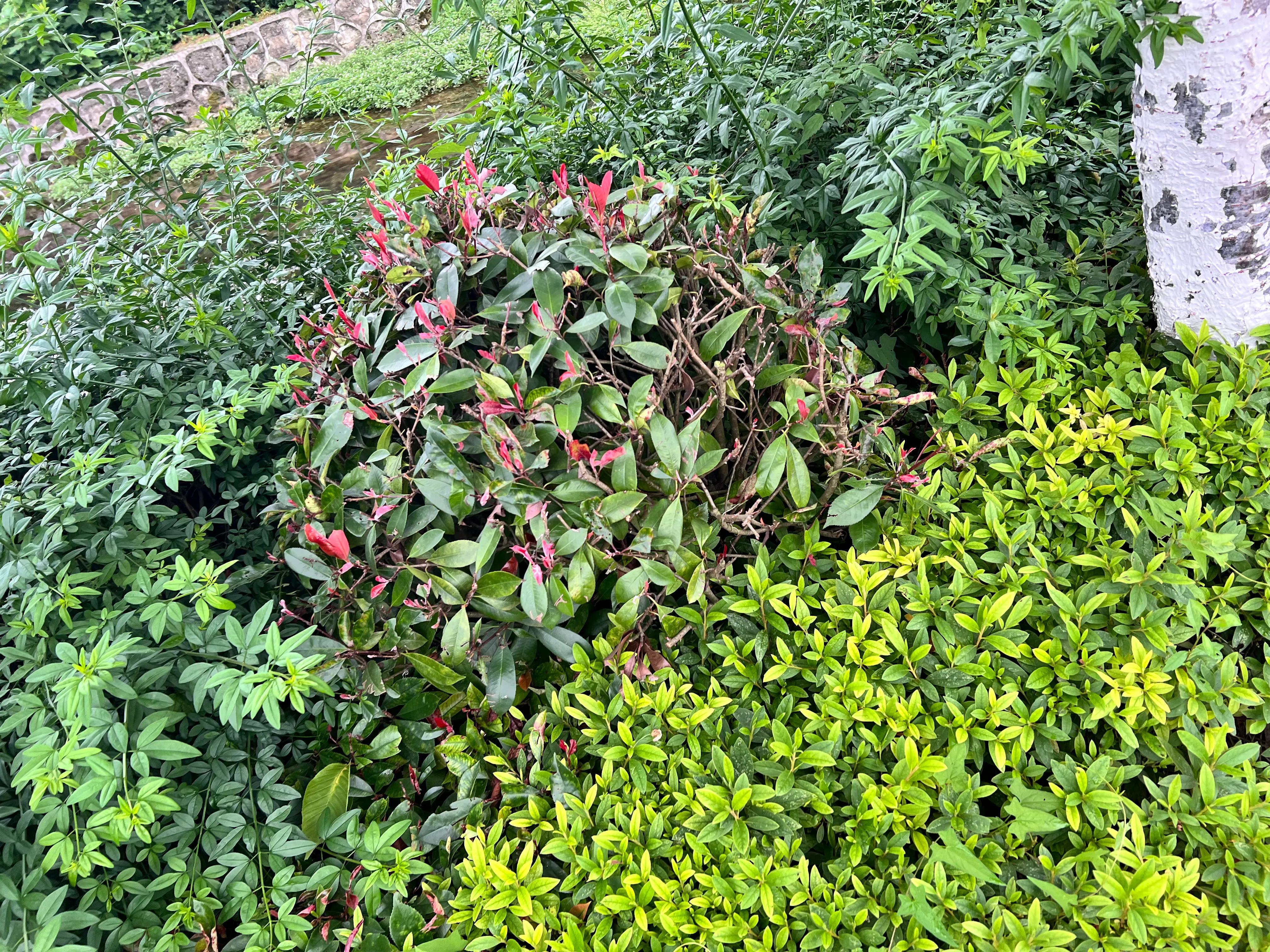 14代轩逸动力怎么样,轩逸的动力到底怎么样