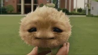 同样是动物却不一样的待遇,同样都是哈士奇却有不同的待遇