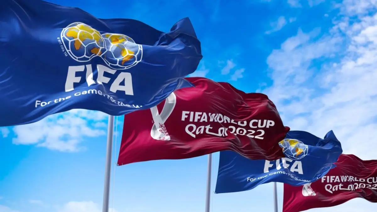 数字财富最新信息,数字世界杯