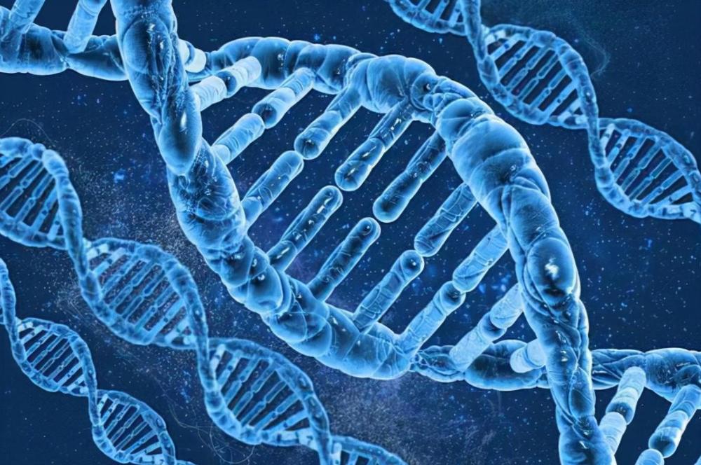 “已故”DNA疯狂求生，借用孪生姐妹的身体，还替她生下3个孩子