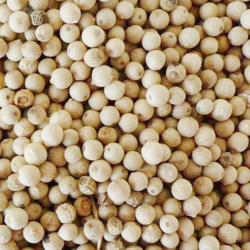 世界上有胡椒味的植物,胡椒是天然植物吗