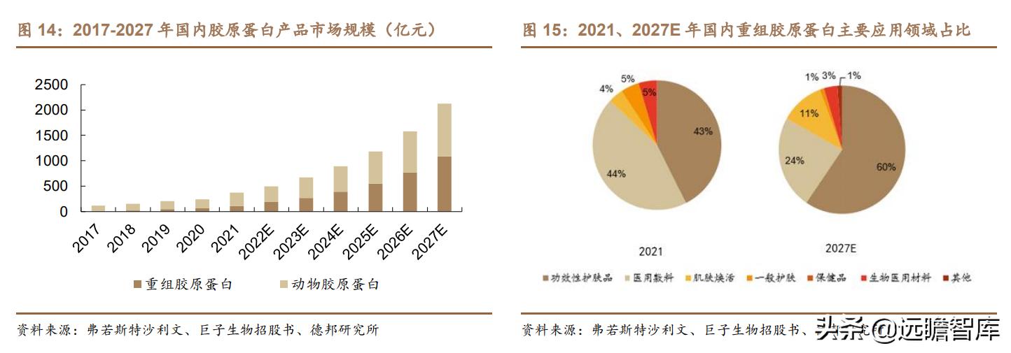 胶原巨子生物,巨子生物胶原蛋白更小分子量