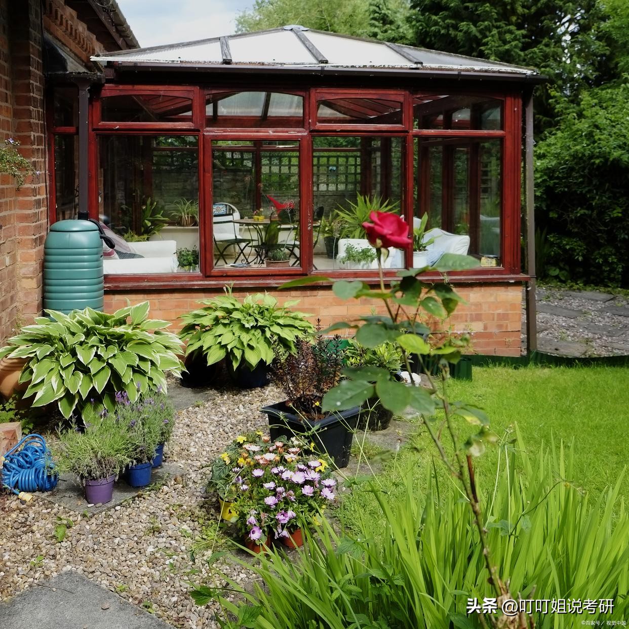 园艺学属于林学吗,园艺专业属于哪个科目