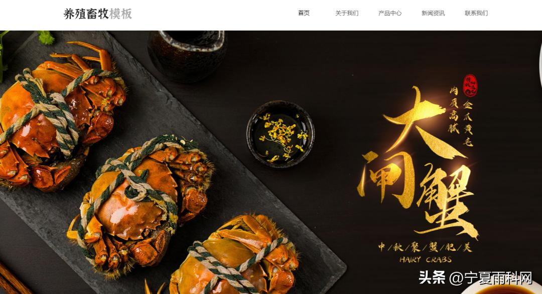 农业养殖网站建设,畜牧业网站建设