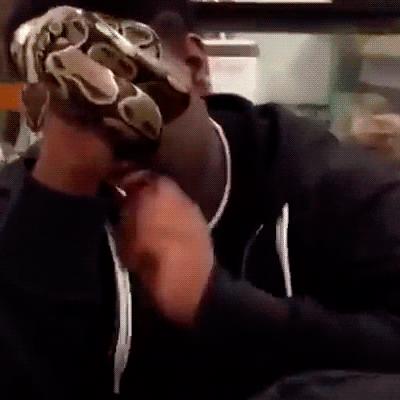 真实大象的照片,在野外拍到的真实大象