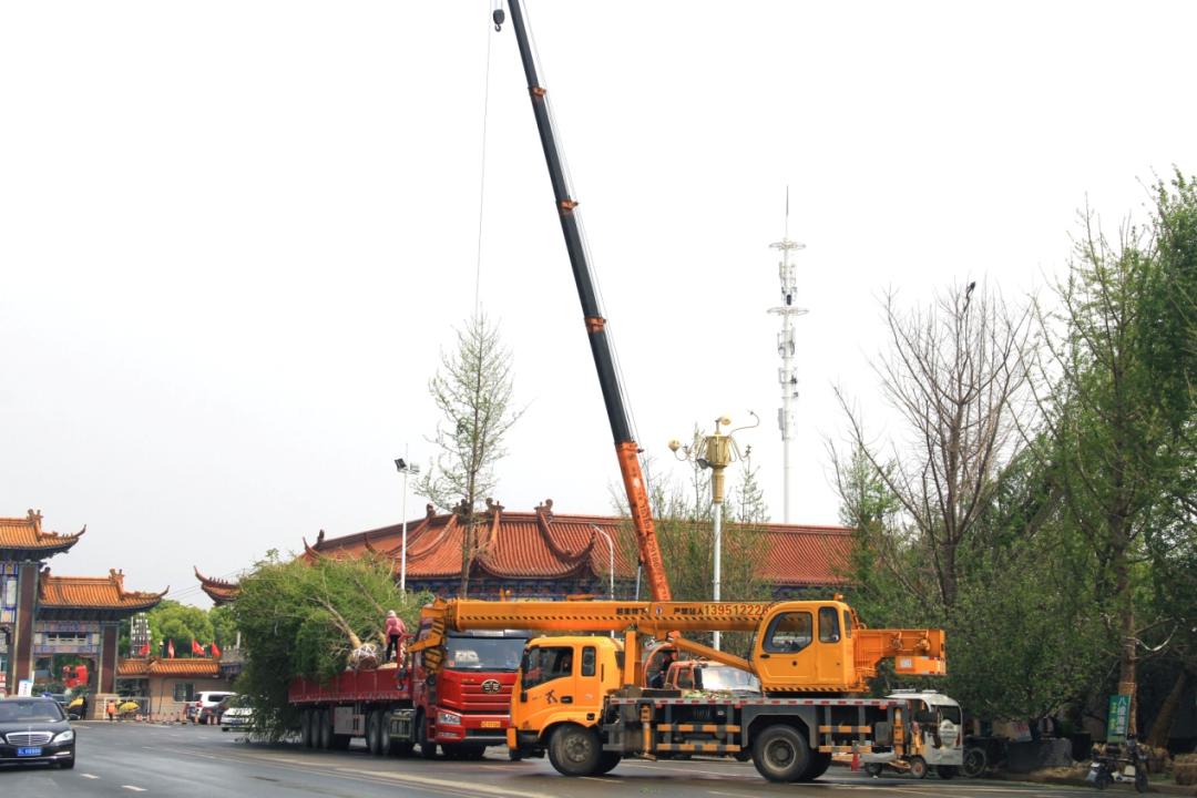 2022年苗市缓缓落幕，谁家欢喜谁家愁？