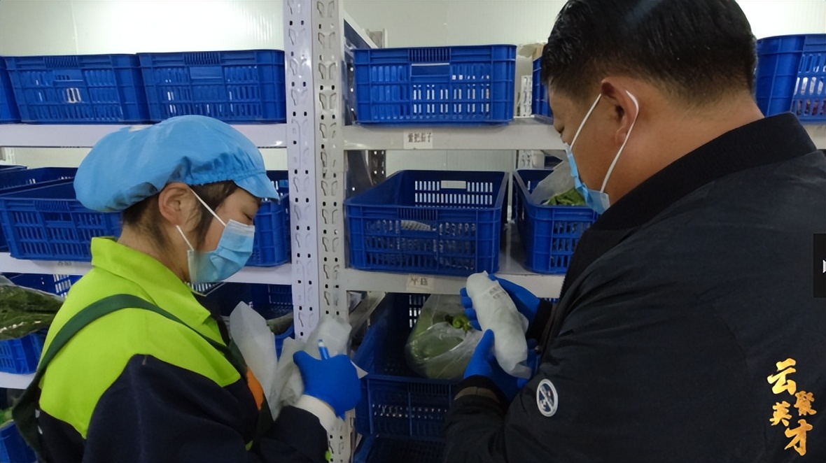 第七期乡村振兴致富带头人,乡村振兴致富带头人第二期