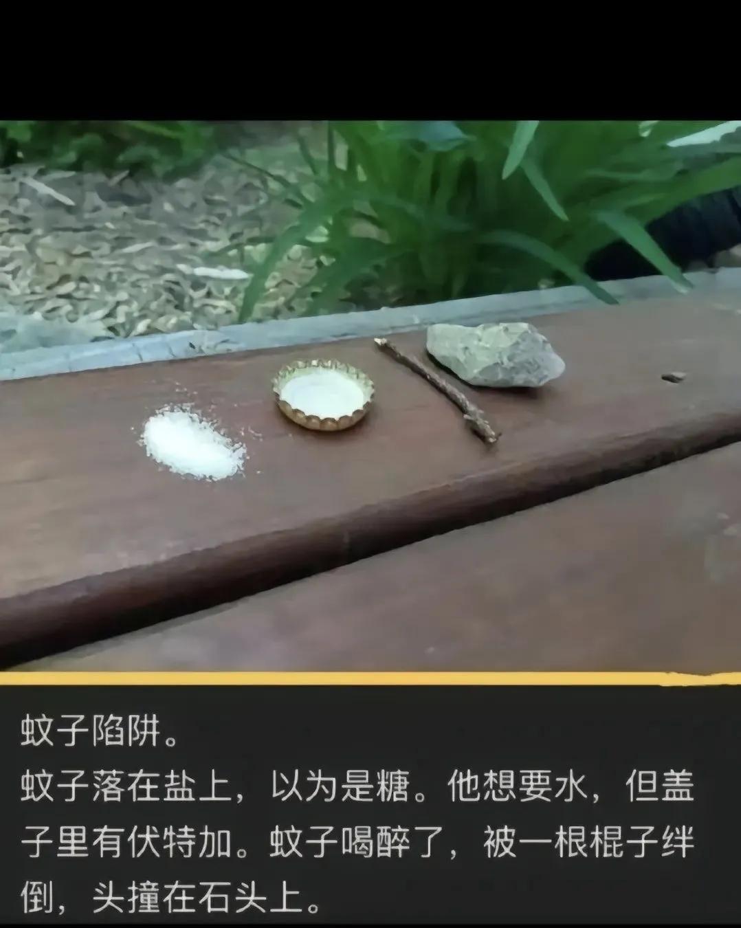 人间最真实搞笑的图片,搞笑图片人间真实系列