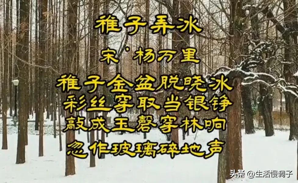 有关小学语文教材古诗词选择,部编版小学语文古诗词统计