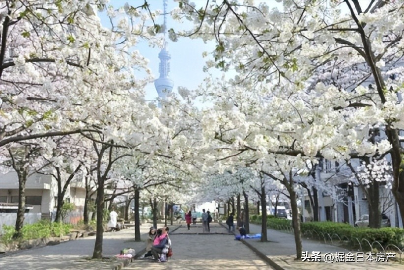 中国人一家三口定居日本幸福生活,上海人在日本定居