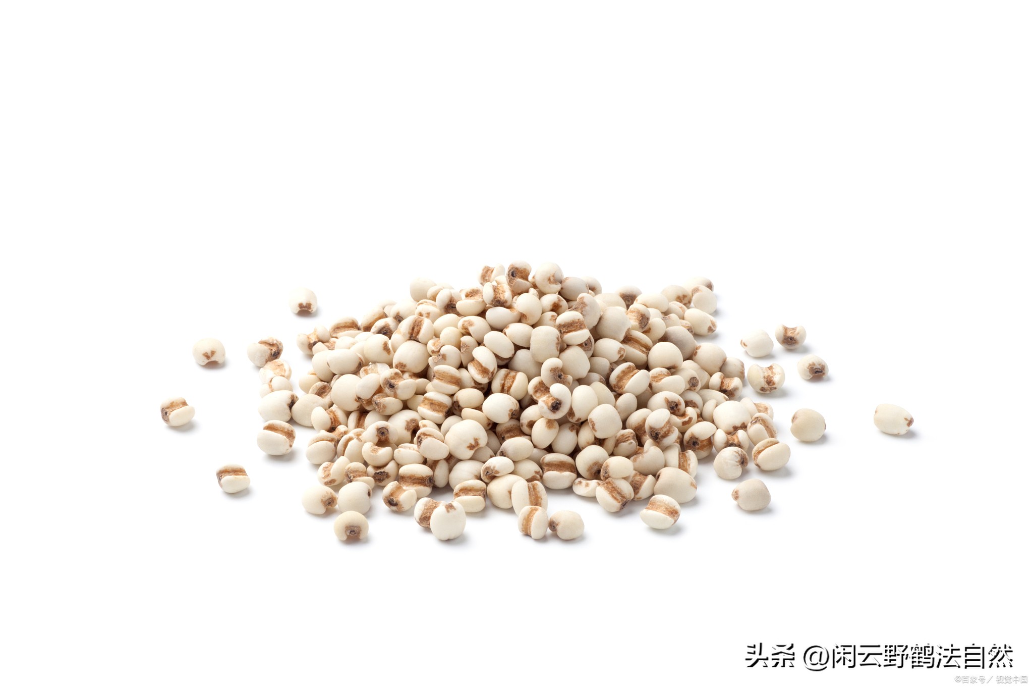 薏仁药食同源辅助降血糖好食材特膳食品前景广