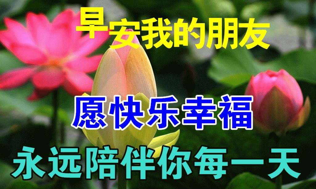 清凉淡雅的早晨好带字漂亮图片,早晨好图片大全温馨带字