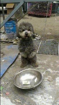 48岁林志玲打扮越来越像日本贵妇,林志玲日本范十足