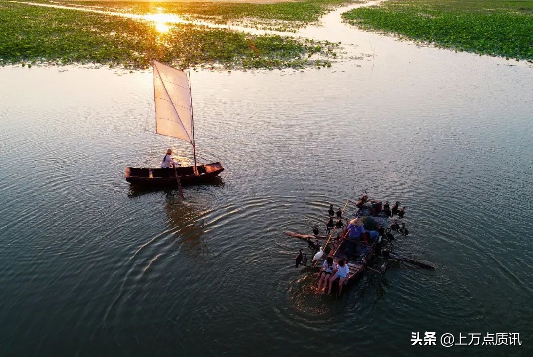 济宁微山湖旅游景区攻略一日游,济宁微山湖旅游区排名