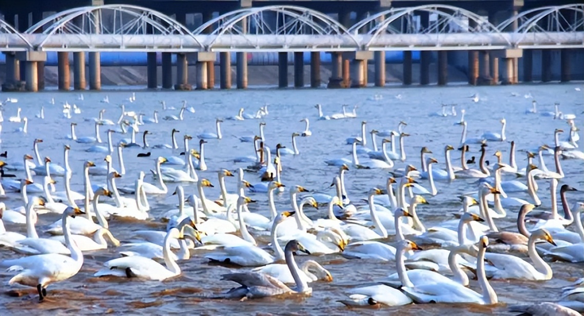 河南自驾攻略最佳路线,旅游自驾河南路线攻略大全图最新