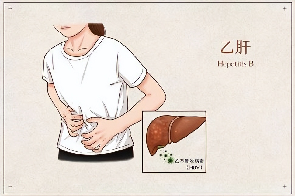 乙肝患者服用恩替卡韦能喝中药吗,乙肝患者吃恩替卡韦能转阴吗