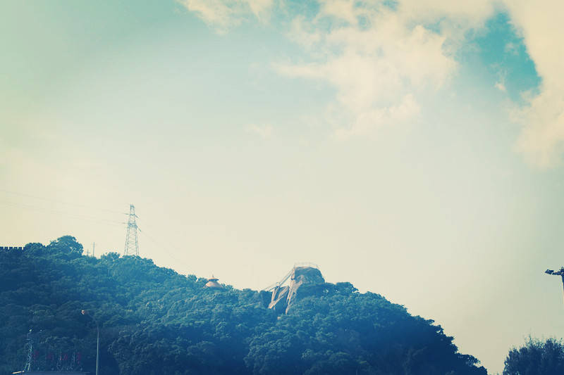 2023本科志愿最受欢迎的专业,2023高考志愿最受欢迎的专业