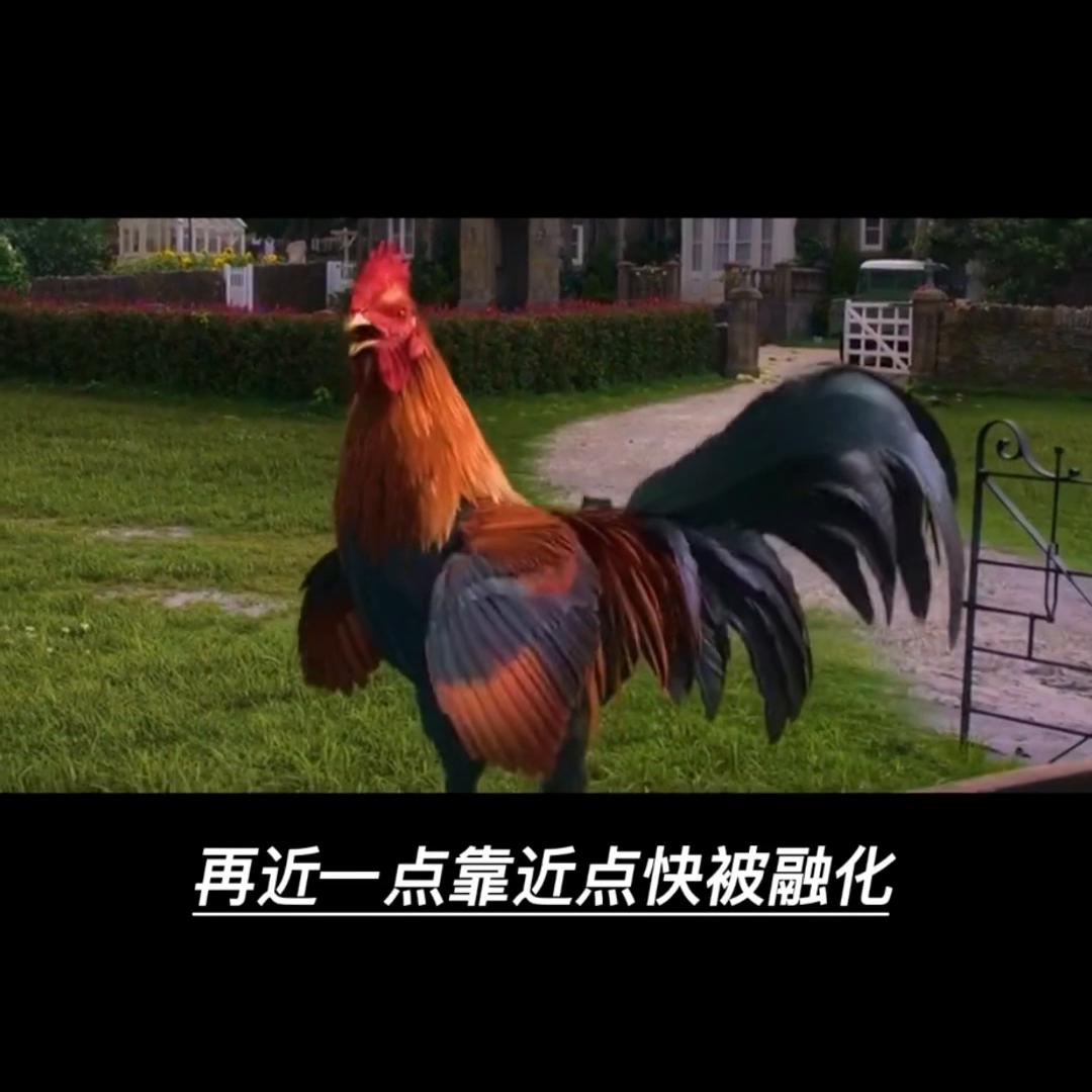 华为翻新二手机,华为翻新机卖7000