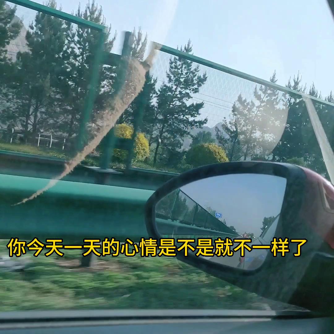 同城好店推荐爱宠之家宠物旗舰店,同城好店推荐发布入口