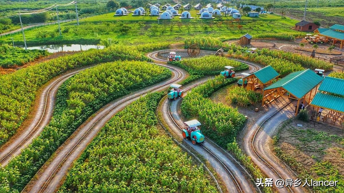 家庭农场：是否能成为乡村致富的新风口？