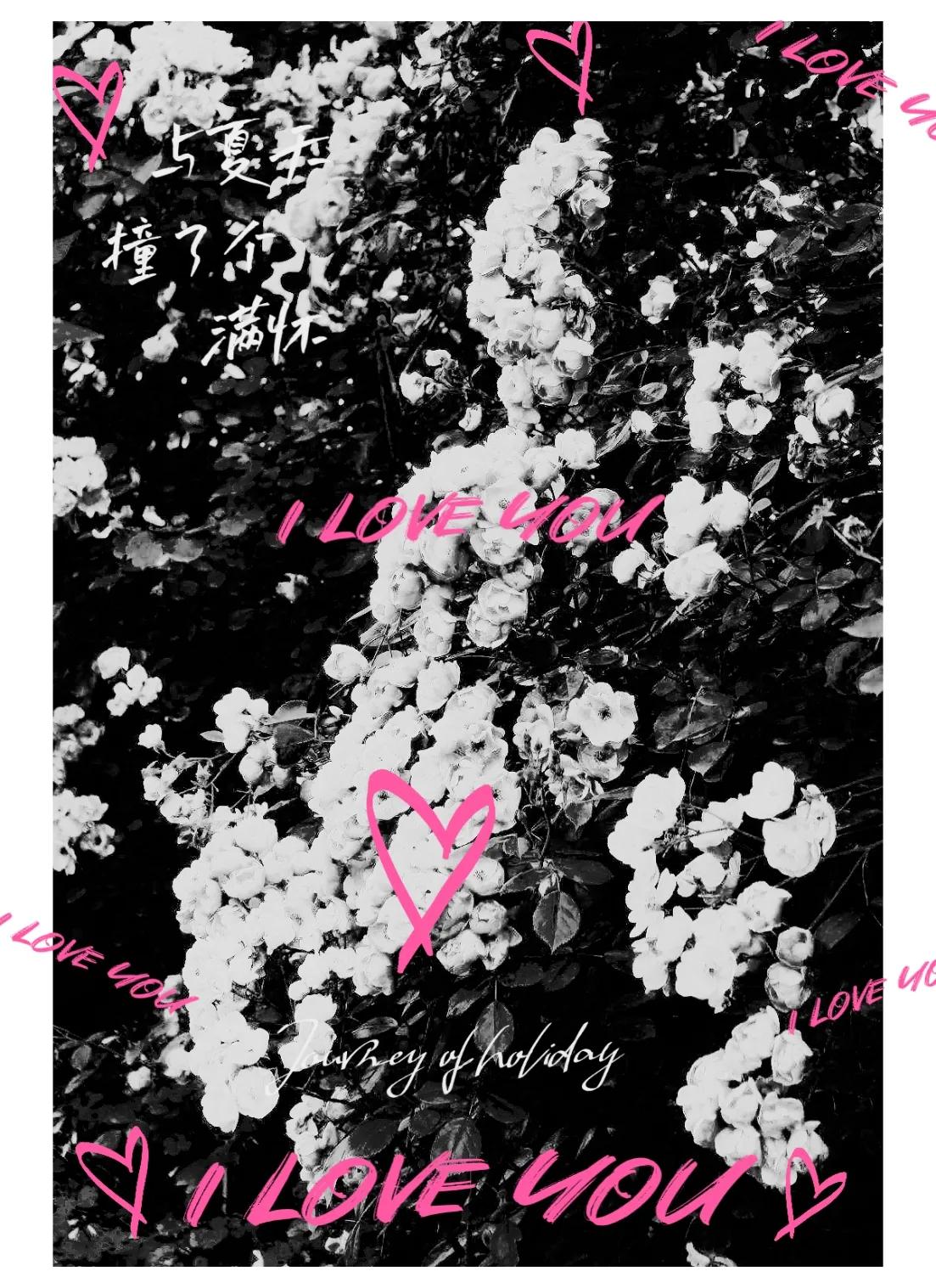 网络情人节520还是世界陌生人节,又是一年一度的520情人节