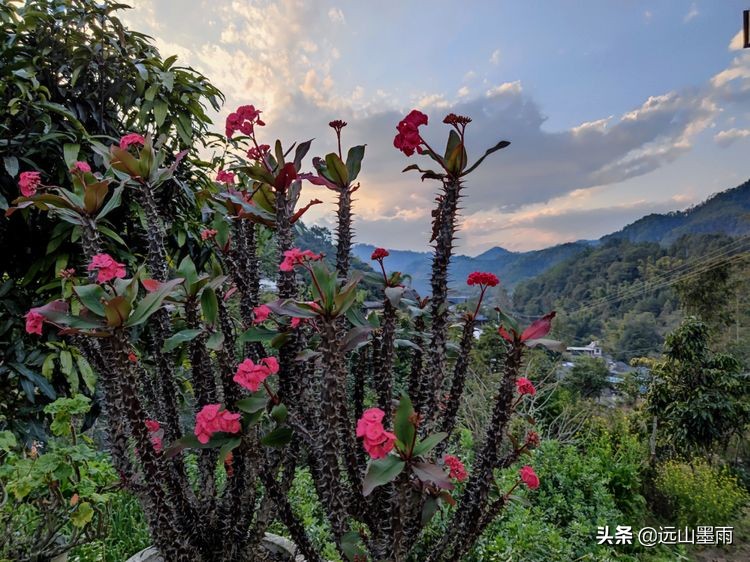 溪流潺潺、白茅飘飘，鲟鱼肥硕、菜蔬新鲜，景谷铁厂河畔的慢时光