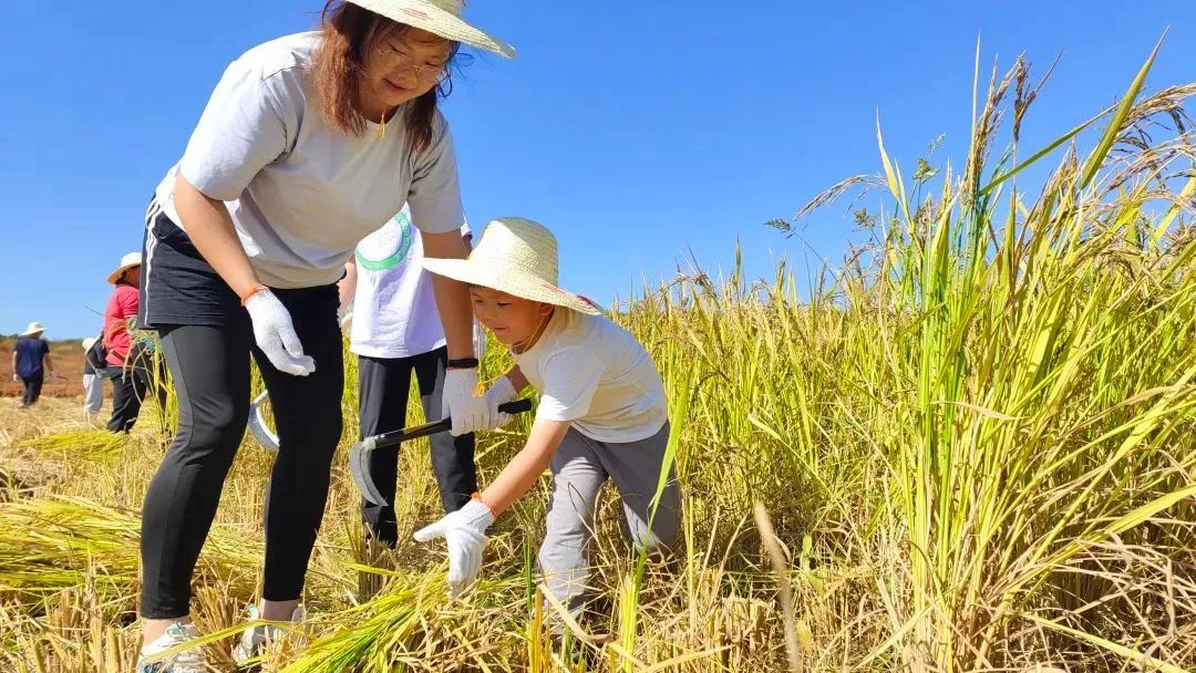秋意渐浓，收藏十月咸宁的专属香气……