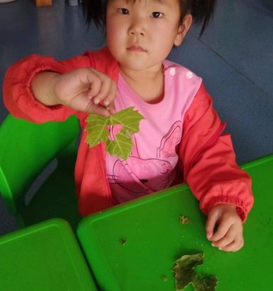 探秘泡泡之旅--道朗镇鱼池幼儿园小班班本课程