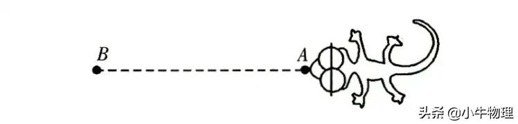 摩擦力一轮复习,一轮复习物理摩擦力